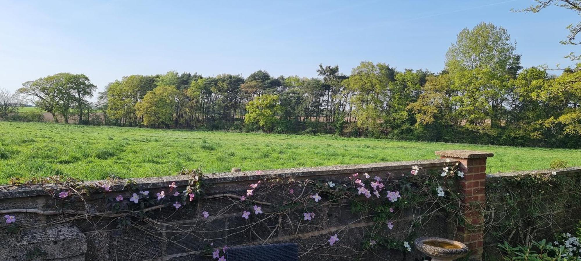 Begonia Cottage Briston ภายนอก รูปภาพ