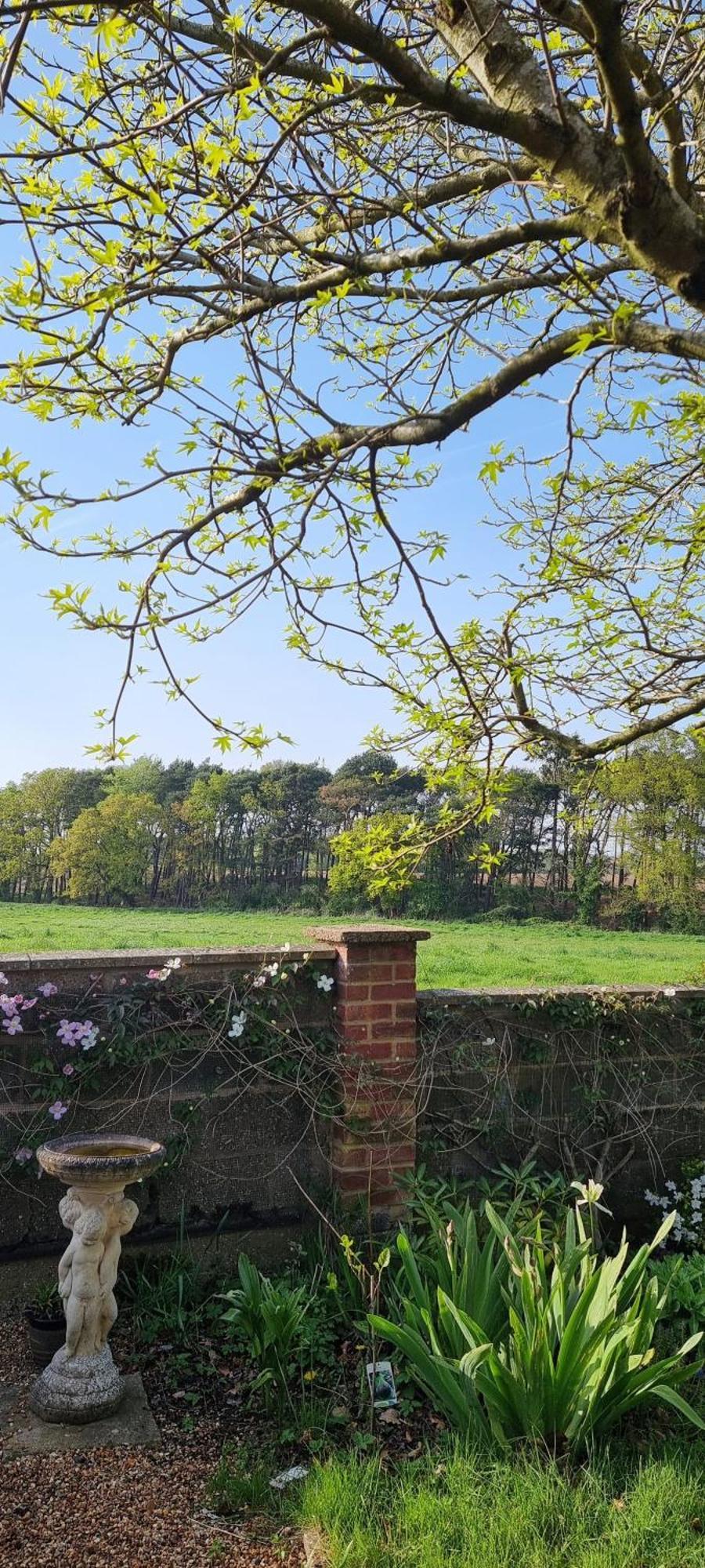 Begonia Cottage Briston ภายนอก รูปภาพ